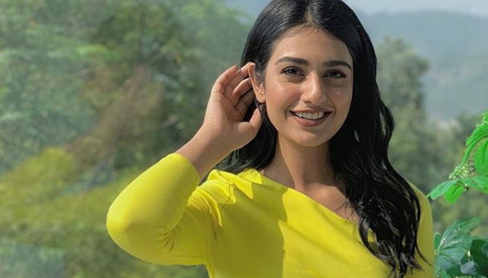 Sarah Khan Biography, Date Of Birth, Age, Husband, Family & Drama List